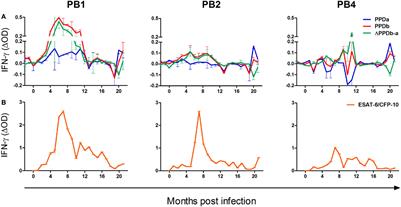 The Kinetics of the Humoral and Interferon-Gamma Immune Responses to Experimental Mycobacterium bovis Infection in the White Rhinoceros (Ceratotherium simum)